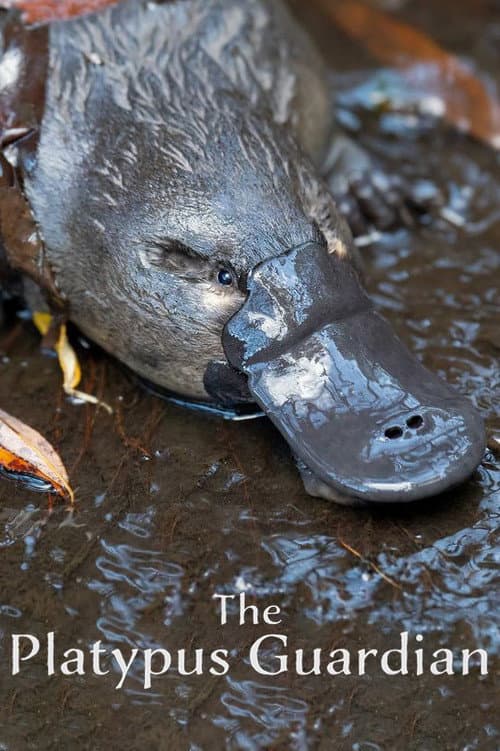 Poster for The Platypus Guardian