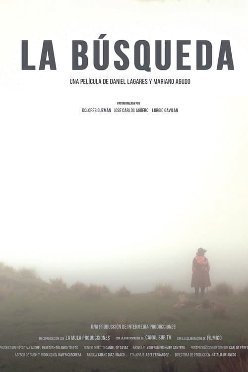 Poster for The Search