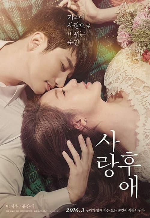 Poster for After Love