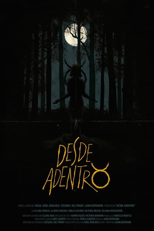 Poster for Desde Adentro