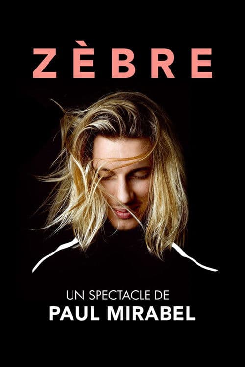 Poster for Paul Mirabel : Zèbre
