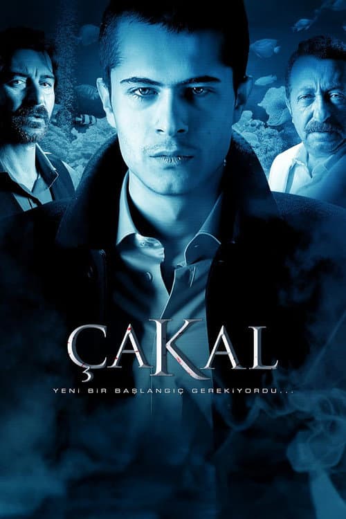 Poster for Çakal