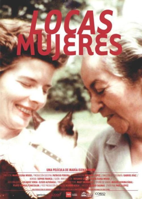 Poster for Madwomen