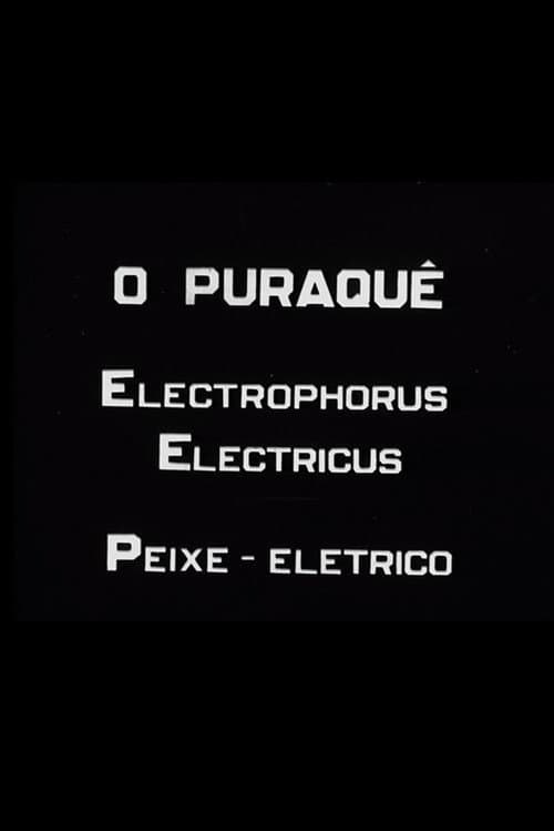Poster for O Puraquê