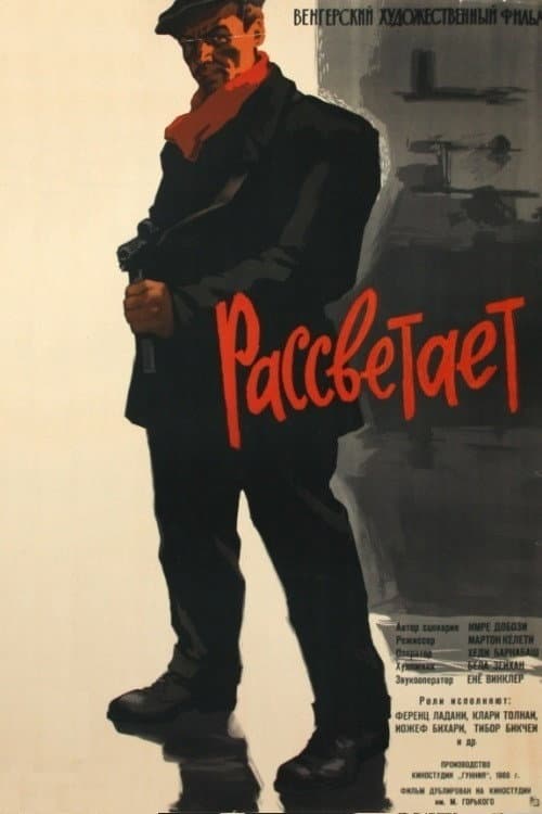 Poster for Virrad