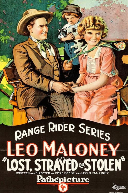 Poster for Lost, Strayed or Stolen