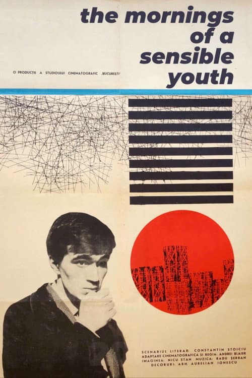 Poster for The Mornings of a Sensible Youth