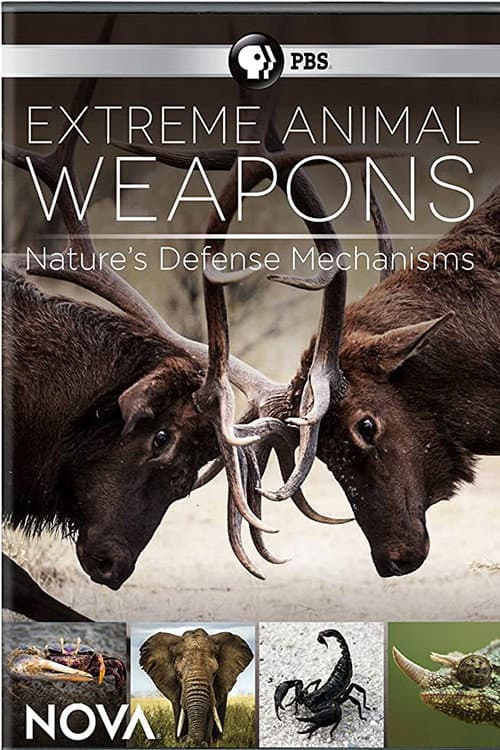 Poster for Extreme Animal Weapons