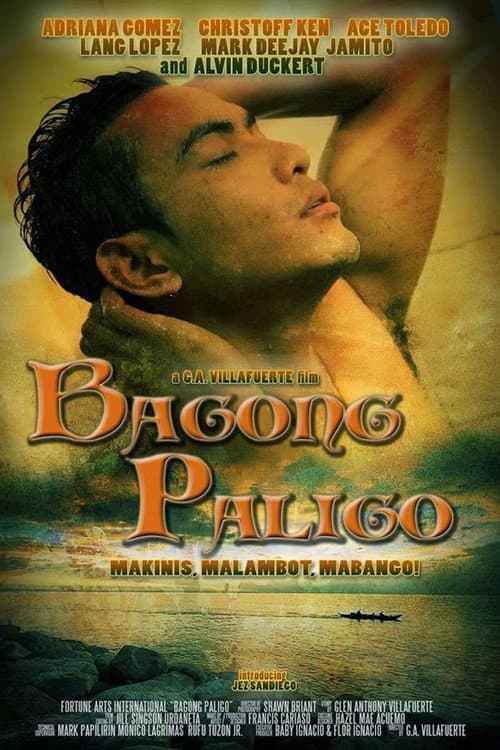Poster for Bagong Paligo