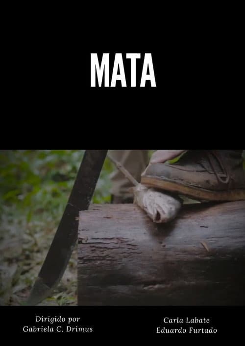 Poster for MATA