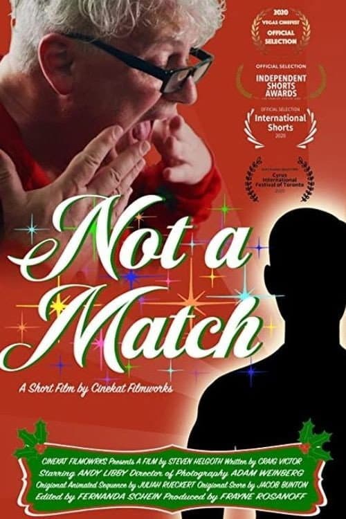 Poster for Not a Match