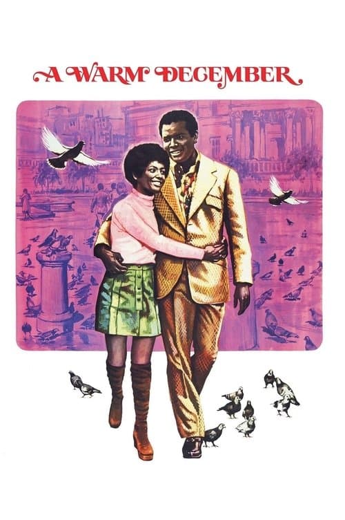 Poster for A Warm December