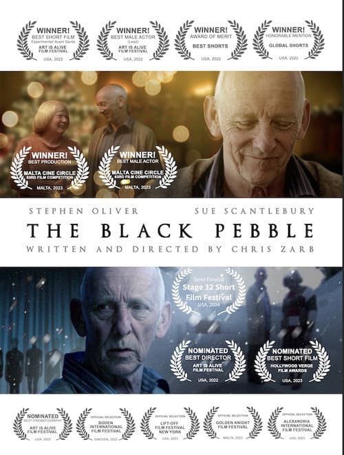 Poster for The Black Pebble