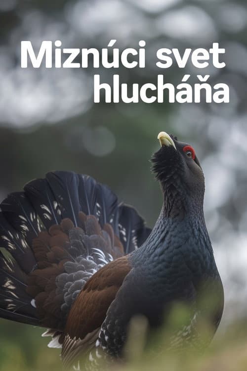 Poster for Disappearing World of the Capercaillie