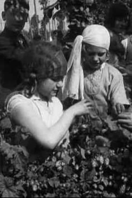 Poster for Hop Picking In Kent