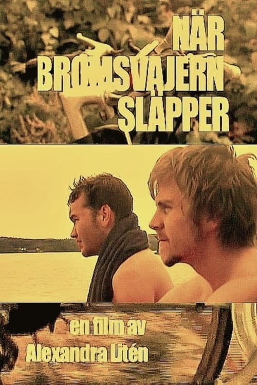 Poster for No Brakes