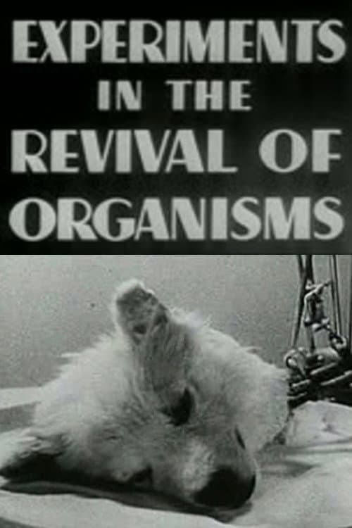Poster for Experiments in the Revival of Organisms