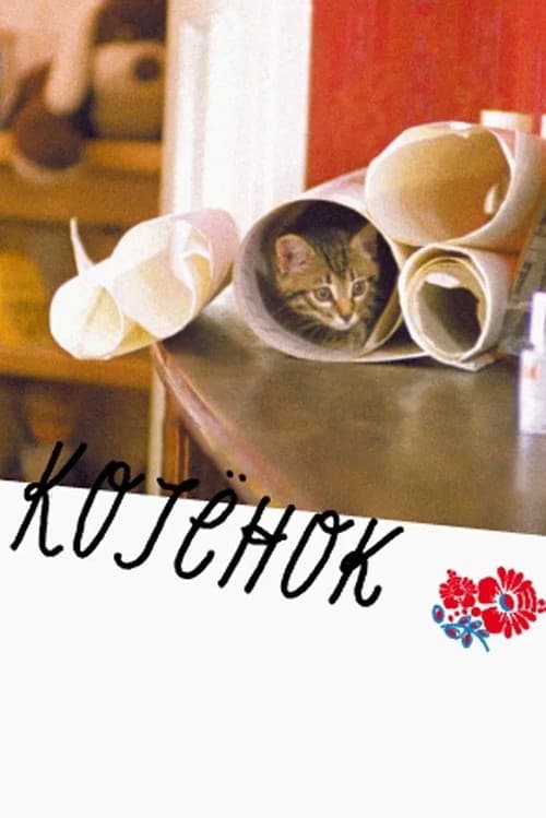 Постер до фільму «Кошеня»
