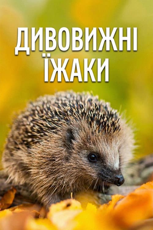Poster for Year of the Hedgehog