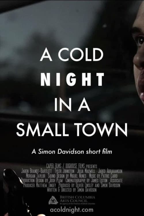 Poster for A Cold Night in a Small Town