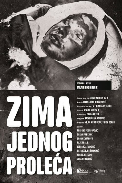 Poster for Winter of One Spring