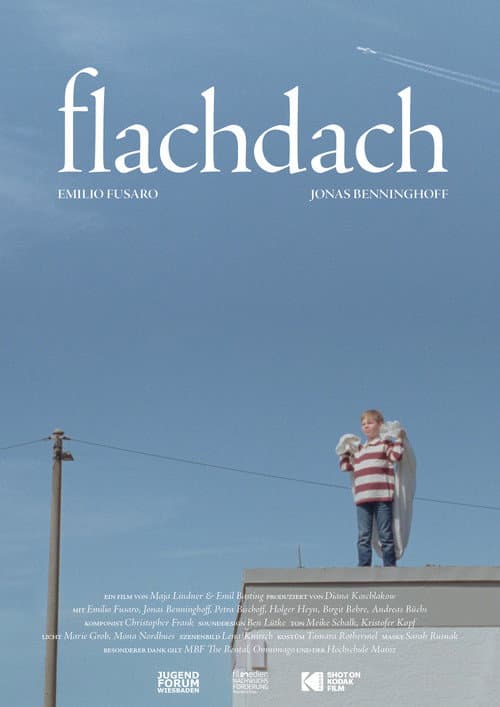 Poster for Flachdach