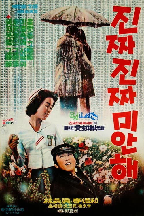 Poster for Really Sorry