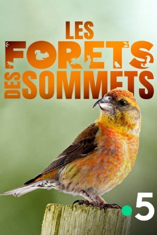 Poster for Les forêts des sommets