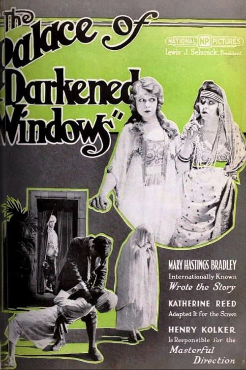 Poster for The Palace of Darkened Windows