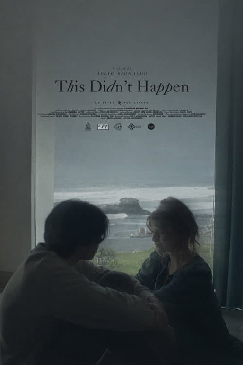 Poster for This Didn't Happen