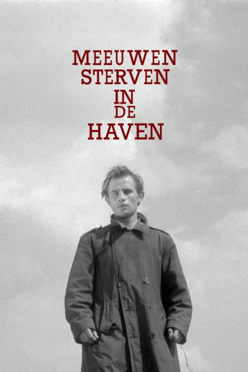 Poster for Seagulls Die in the Harbour