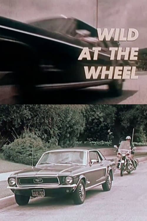 Poster for Wild at the Wheel
