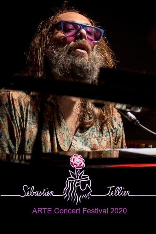 Poster for Sébastien Tellier au ARTE Concert Festival
