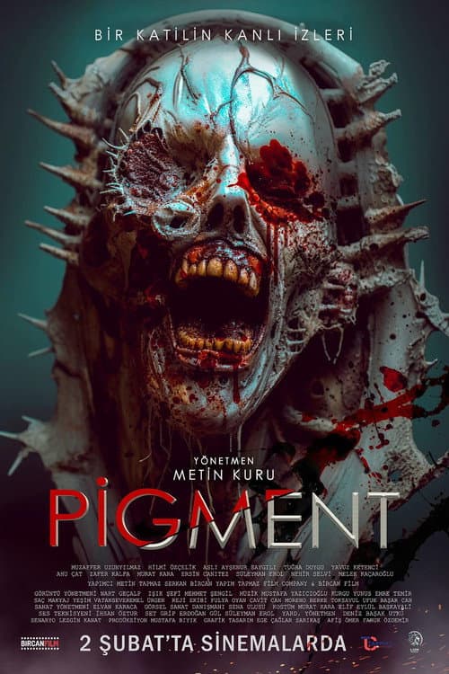 Poster for Pigment