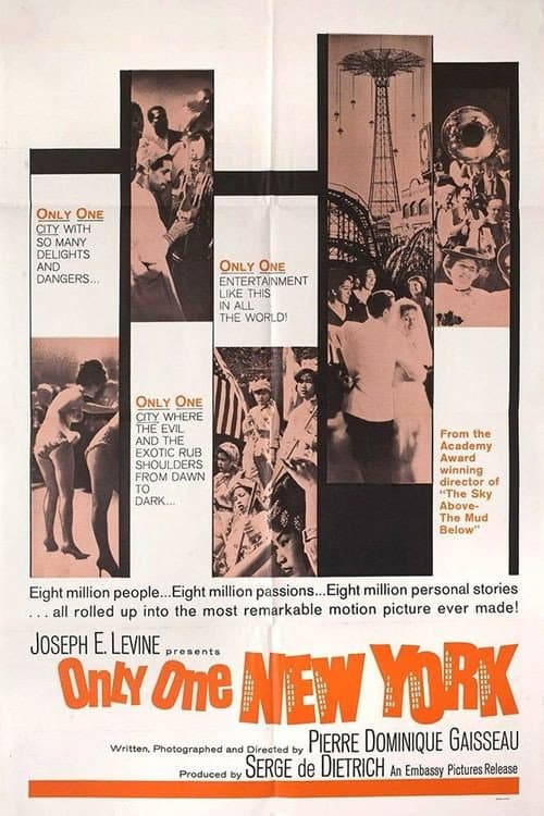 Poster for Only One New York