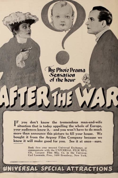 Poster for After the War