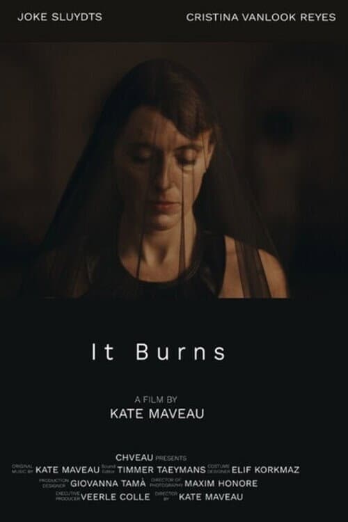 Poster for It Burns
