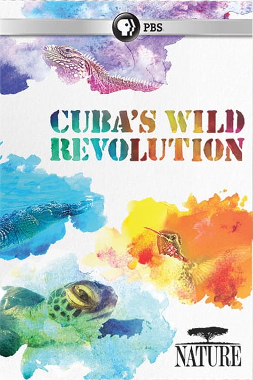Poster for Cuba's Wild Revolution