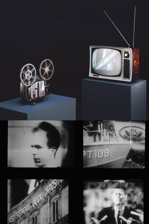 Poster for Television Assassination