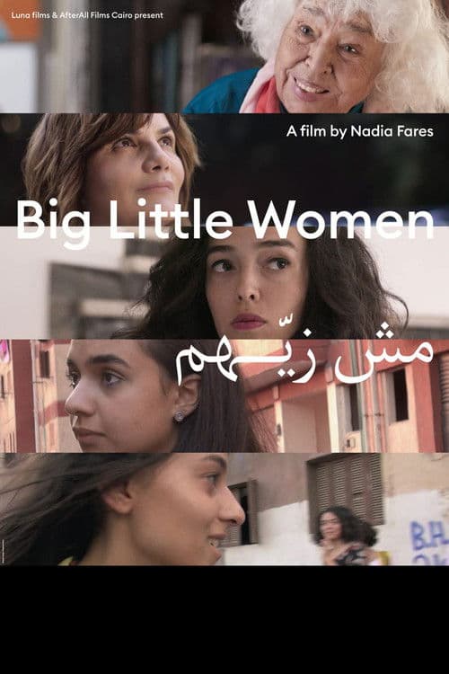 Poster for Big Little Women