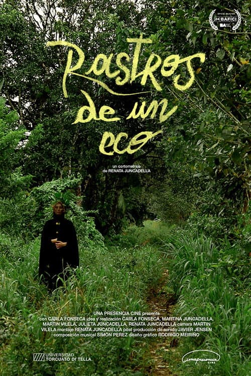 Poster for Traces of an Echo