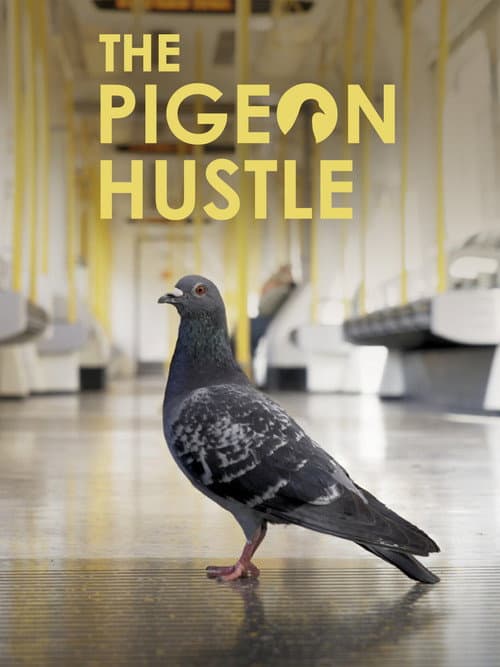 Poster for The Pigeon Hustle