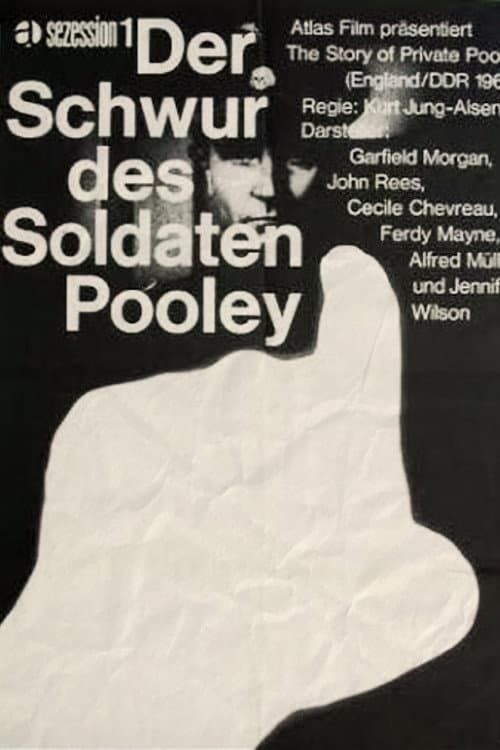 Poster for The Survivor