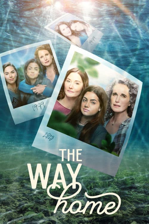 Poster for The Way Home