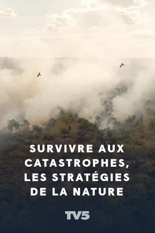 Poster for Survivre aux catastrophes, les stratégies de la nature