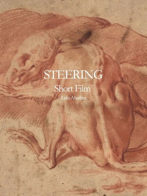 Poster for Steering