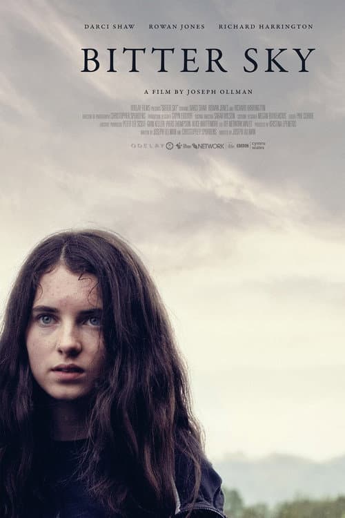 Poster for Bitter Sky