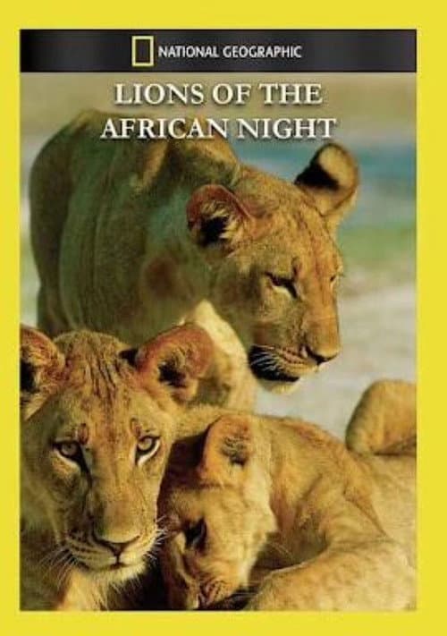 Poster for Night of the Lion