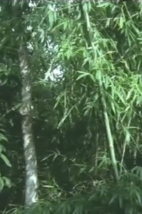Poster for And the Bamboo Blooms