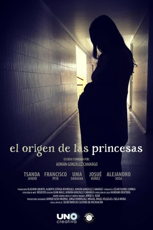 Poster for El origen de las princesas